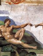 CERQUOZZI, Michelangelo Adam was born oil painting